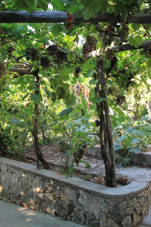 B&B Il Grappolo Anacapri  Exteriér fotografie