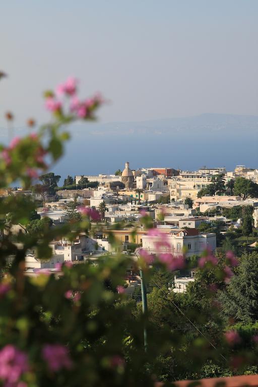 B&B Il Grappolo Anacapri  Exteriér fotografie