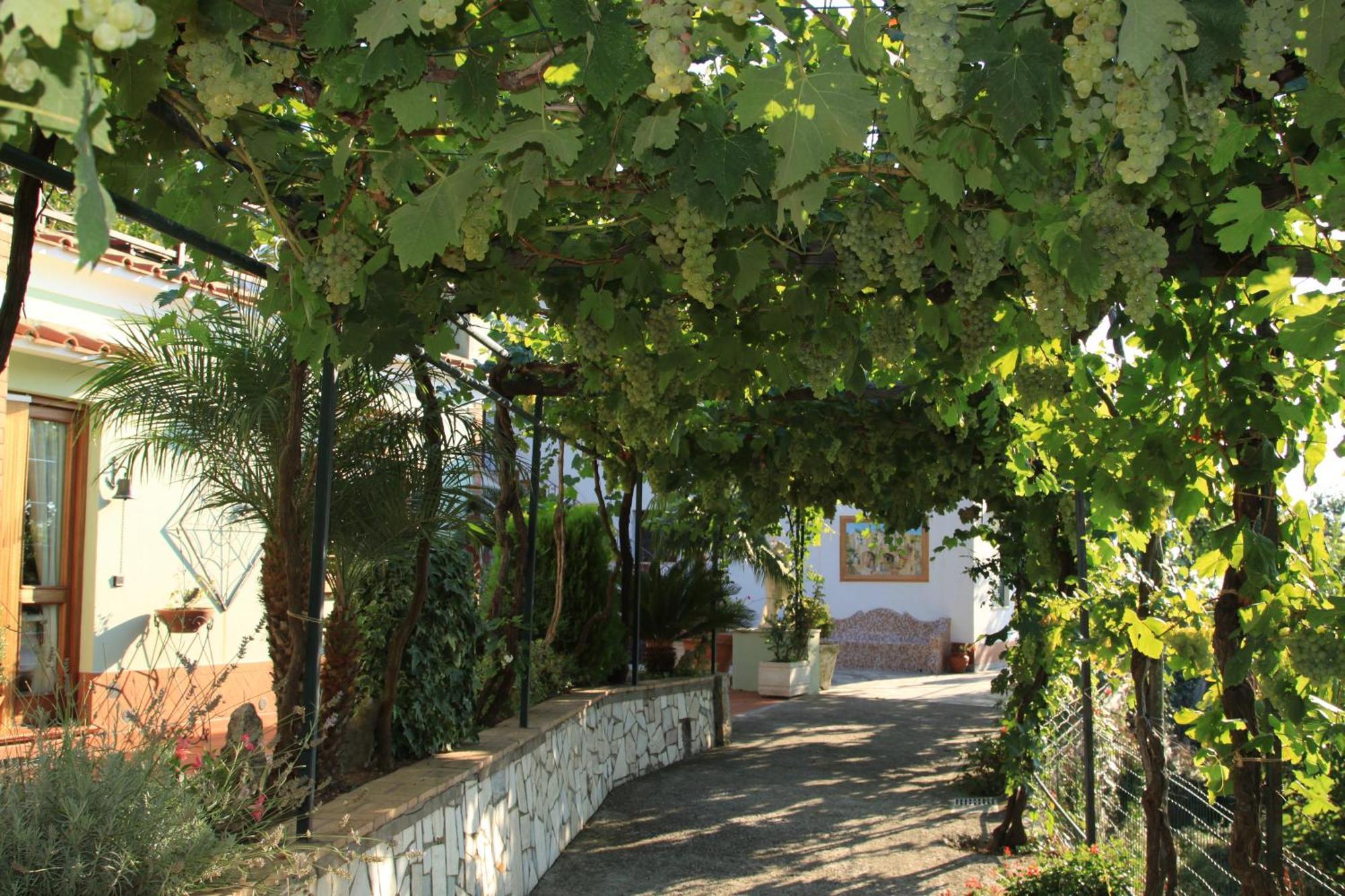 B&B Il Grappolo Anacapri  Exteriér fotografie
