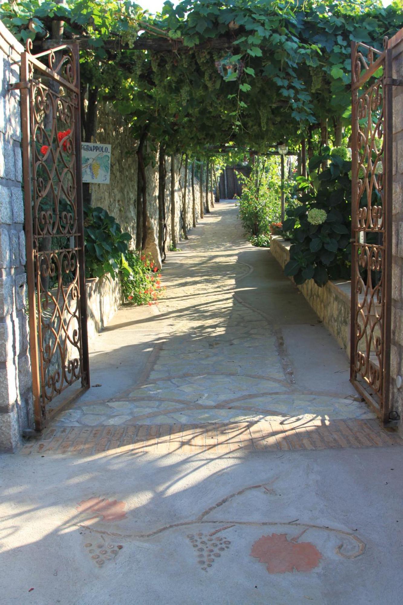 B&B Il Grappolo Anacapri  Exteriér fotografie