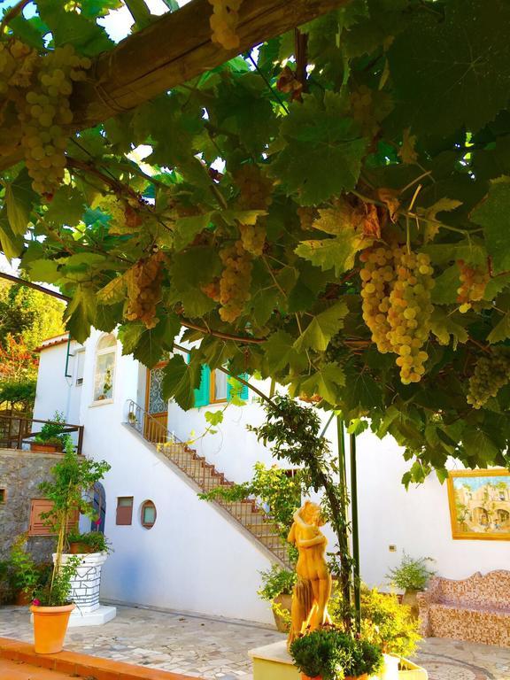 B&B Il Grappolo Anacapri  Exteriér fotografie
