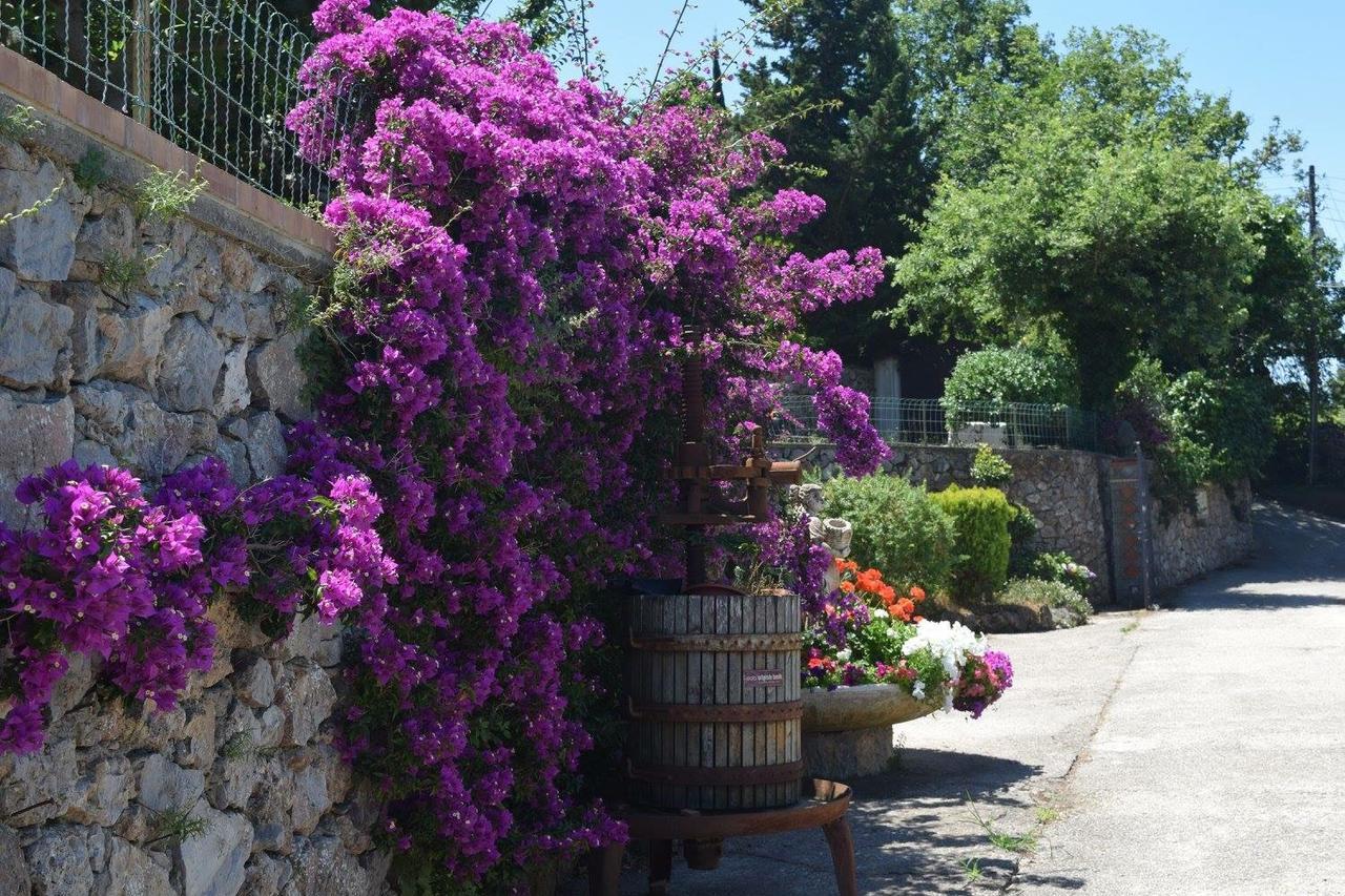 B&B Il Grappolo Anacapri  Exteriér fotografie